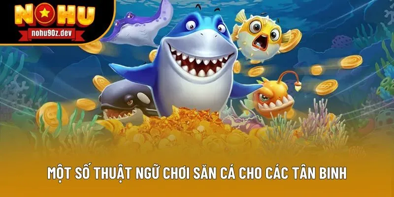 Một số thuật ngữ chơi săn cá cho các tân binh Một số thuật ngữ chơi săn cá cho các tân binh